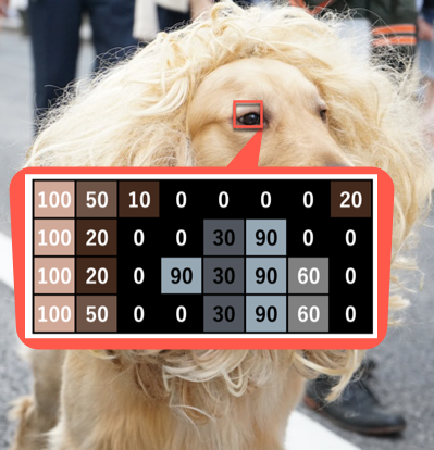 図：ゴールデンレトリバーの目の部分を拡大した階調付き画素データのデフォルメサンプル