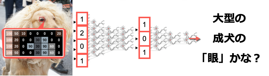 図：ディープ・ラーニングでは、画像はパーツ毎に分割され、数値データの集合として分類・類推されてゆく